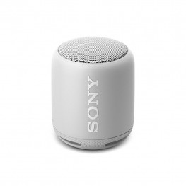 Beoplay A1 Portable Bluetooth Speaker with Microphone
